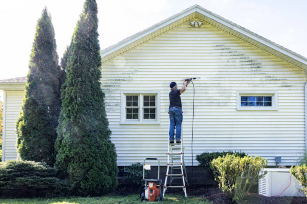 Best Pressure Washing Company Near Me  in Pearl, MS