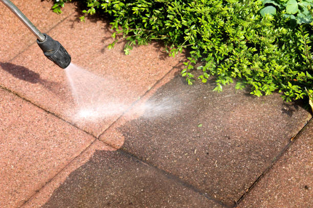 Best Best Pressure Washing Companies  in Pearl, MS